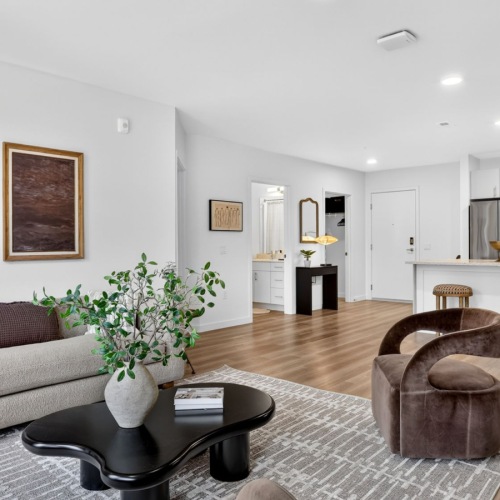 Your New Living Space