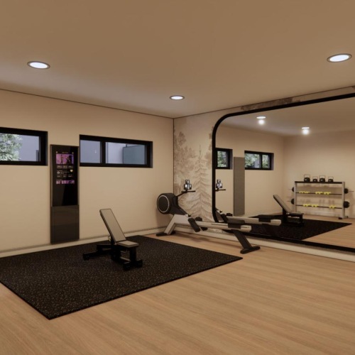 a room with a large mirror and a rug